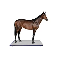 Professionele Paardenweegschaal Tot 1000kg X 200gr