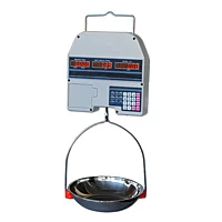 Hangweegschaal Met Prijsfunctie 30kg X 10gr